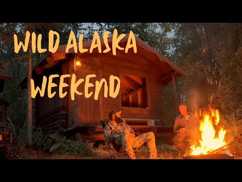 Alaska Moose Hunt Gone Different: Blueberries, Spruce Hen & Cabin Life