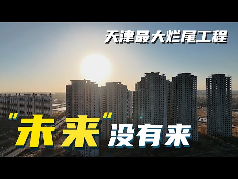 天津最大爛尾工程：大量豪宅空置，規模堪比縣城，北京投資客在此買房血虧，上千棟別墅廢棄閒置十幾年，入住周邊90平「豪宅」僅需60元。