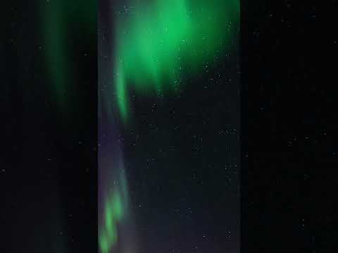 Polarlichter auf den Lofoten - Nordkapp #wohnmobil #allrad #camping #camper