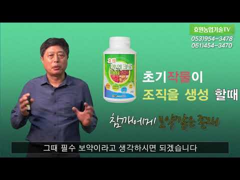 열려라 참깨! 안이영 대표의 참깨 재배법 1편
