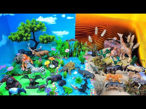 Jungle, Ocean & Savanna — Animal World for Kids!