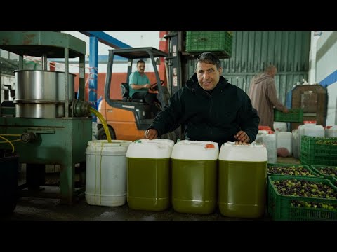 Natural Olive Oil Extraction and Moroccan Couscous in a Mountain Village