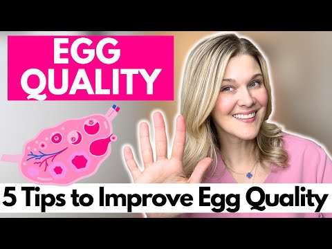 5 Tips to Improve Egg Quality: What Lifestyle Changes are Recommended for Your Fertility?