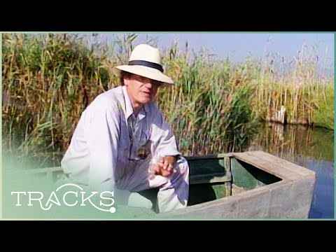 Mallorca: Delicacies, Wild Marshes And Private Parties | The Floyd On Spain | TRACKS