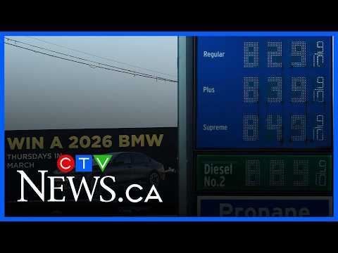 Trump administration ‘will realize how important Canadian oil is’ amid soaring gas prices: economist