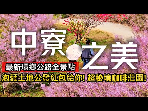 中寮秘境❗南投最美環鄉公路❗全台最夢幻麝香木大峽谷｜找泡麵土地公就能領紅包｜極隱密山中咖啡莊園｜921地震後25年過得如何❓｜中寮❌南投｜TAIWAN｜