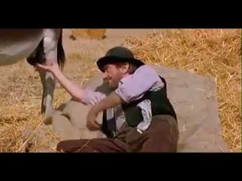 VID_20180104_235619012_edited.mp4