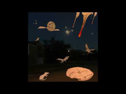 Campaign Against Loneliness - Taxidermy