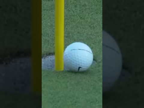 “Oh My Goodness!”