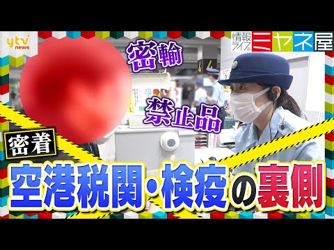 【激撮】客の荷物から違法薬物反応!?空港税関と検疫の取り締まり現場に密着 持ち込み品めぐり職員と大攻防!