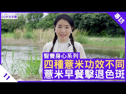 生熟紅洋四種薏米功效不同 薏米早餐助你擊退色斑 - 鄭丹瑞《健康旦》註冊中醫師 #楊明霞 #智養身心 Part 11 (CC中文字幕)