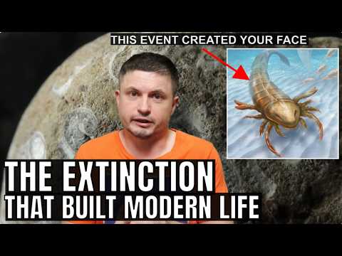 How Life Changed on Earth After an Extinction Event 450 Million Years Ago