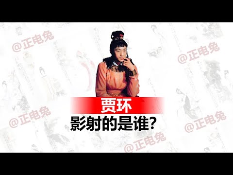 《红楼梦》中贾环影射的是谁？