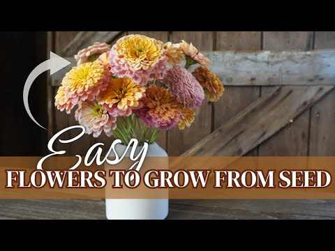 Favorite Cut Flowers to Grow From Seed! (Top Picks for Easy to Grow Annuals)