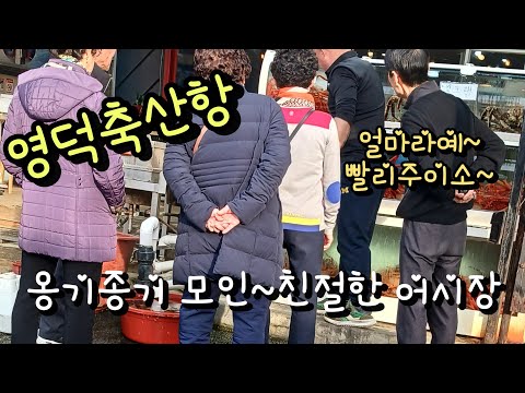 [영덕축산항 어시장] 호객없는 친절한 어시장!! 대게가격은 얼마일까~??수율좋은 절지대게는 완전 저렴!!