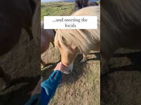 DYK you can live like a Victorian on our remote Scottish island? #history #heritage #luxury