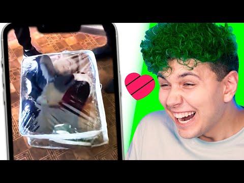 Как он ТУДА ЗАЛЕЗ? 😂 ЧТО ТВОРЯТ ДЕТИ В ЛАЙКЕ? 😂 ПОПРОБУЙ НЕ ЗАСМЕЯТЬСЯ в LIKE 😂