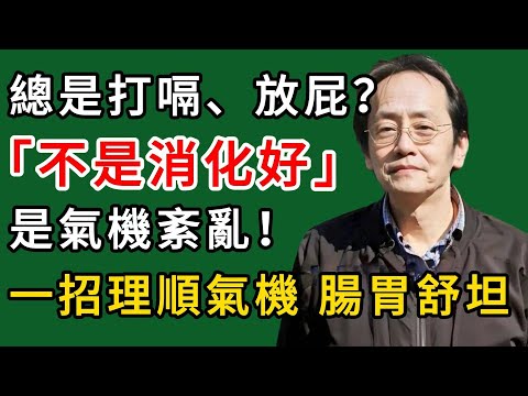 倪海廈：總是打嗝、放屁？不是消化好，是氣機紊亂！一招理順氣機，腸胃舒坦！#倪海廈#倪師#養生#中醫調理#中醫食療#倪海廈中醫養生堂