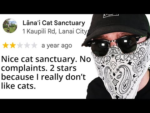 Online Reviews are Genuinely Full of Insane People