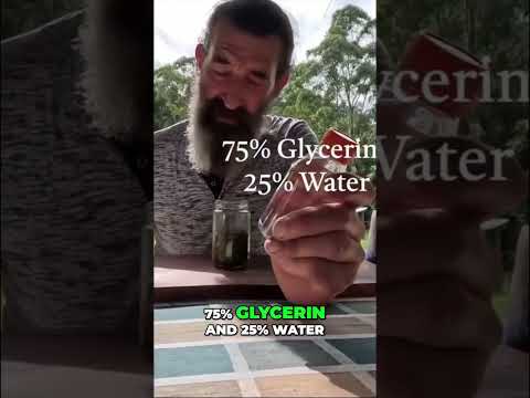 How to make a LEMON BALM tincture (for kids)! 💤