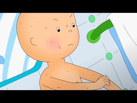 Caillou ist Krank | Die Neuen Abenteuer von Caillou | Caillou auf Deutsch