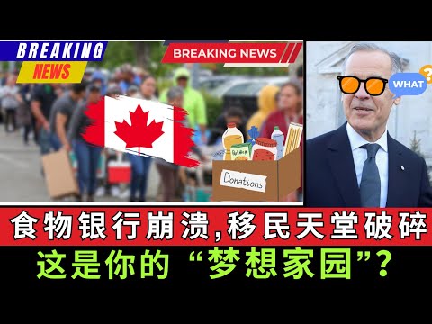 食物银行崩溃，移民天堂破碎，这仍是你的"梦想家园"? 单月就有220万人上门要求救济，是六年前的两倍，其中有70万领取者是未成年儿童，而政府却忽略了正在塌陷的社会现实！#加拿大 #北美生活 #经济危机