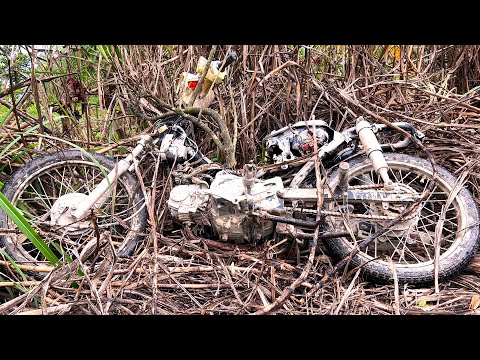 SHOCK: Honda Cub 50 Abandoned for 20 Years in the Wilderness – Unbelievable Transformation!”