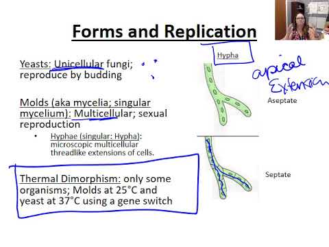 Introduction to Fungi