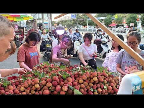 广西传统地摊经济，路边摊水果一条街，网络爆火的”三轮车大军“，南宁最热闹最便宜的“水果街“，物价超便宜，轻松实现水果自由，荔枝3元一斤，西瓜10元三个，香瓜10元6斤，三华李10元一大袋，芒果2元一斤