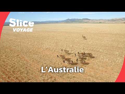 L'Australie : le continent désert I SLICE VOYAGE