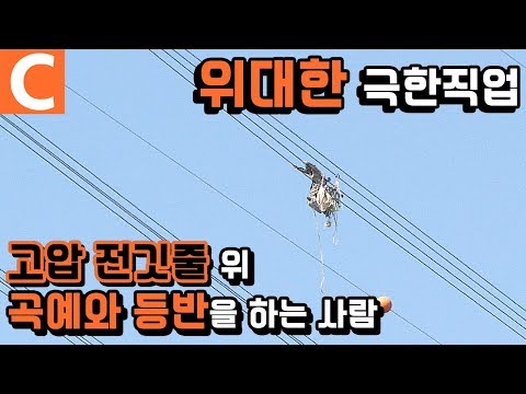 [극한직업 레전드] '떨어진 자는 말이 없다' 시청자가 뽑은 극한직업 1위 ‘송전탑 전기원’ㅣ#극한직업