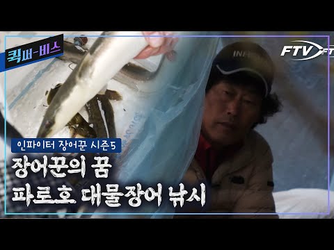 [Full/Quick Service] Giant Eel, I've Been Waiting for You... Kim Joo-hyung Finds the Big Eel Spot...