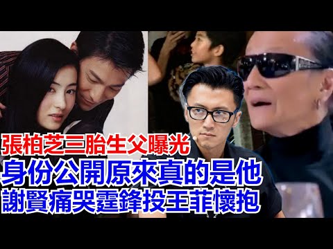 張柏芝三胎生父曝光，身份過開原來真的是他，謝賢把大孫的抱入懷中對工作中的謝賢說了這幾個字，謝霆鋒推開兩個兒子不回頭直接飛北京王菲已經打掃房子迎男主，網友：夜雨瀟瀟自流，王謝相顧似清秋。