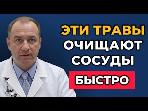 После 50 лет это спасает сосуды лучше таблеток — но об этом почти не говорят