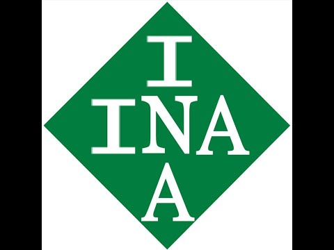 Настоящая INA и Параллельный импорт