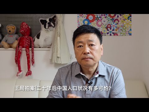 王局拍案|二十年后中国人口状况有多可怕？220711（上）How terrible will China's demographic situation be in twenty years?（1）