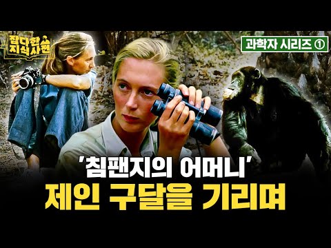 '침팬지의 어머니' 제인 구달 별세... 구달이 바꿔버린 인간의 정의 | 🧑‍🔬과학자 특집① 제인 구달 🦧