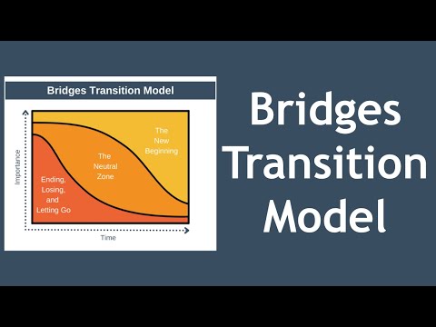 Bridges Transition Model Explained