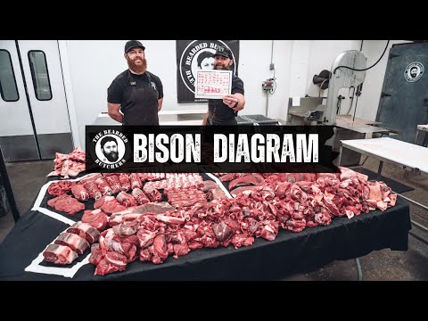 A Visual Guide to the Cuts of Bison: Where Every Cut of Buffalo Comes From | By The Bearded Butchers