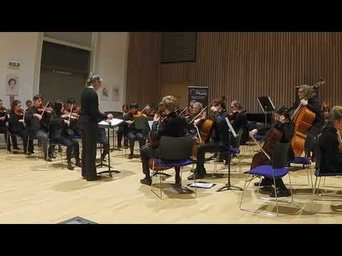 Warwickshire County String orchestra performing Phantom of the Opera