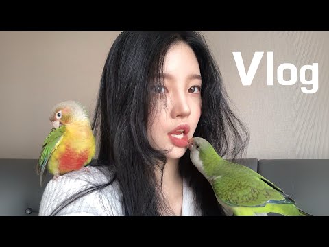🐥여름 Vlog 🐥