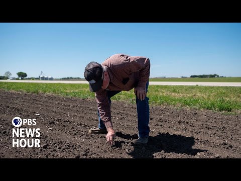 Trump considers $10 billion bailout for farmers as tariffs disrupt the market