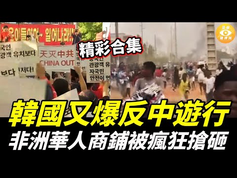【精彩合集】韓國又爆反中遊行，中領館怕了！非洲華人商鋪被瘋狂搶砸，都是中共惹的禍！