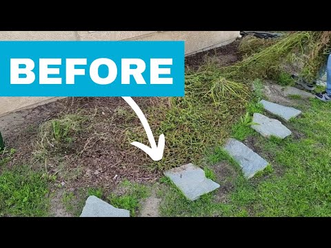 How $1.68 fence posts will INSTANTLY transform your dull garden!