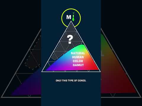 5 People Just Saw A New Color. How?