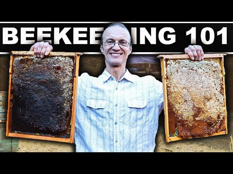 NATURAL BEEKEEPING FOR BEGINNERS (Dr. Leo Sharaskin) Homestead Hive Raising Bees Without Chemicals
