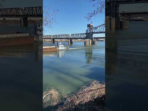 🏞️National Arkansas Day!! #arkansas