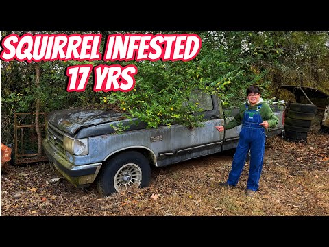 Short Bed F150 Parked 17 years! Can We Save It?