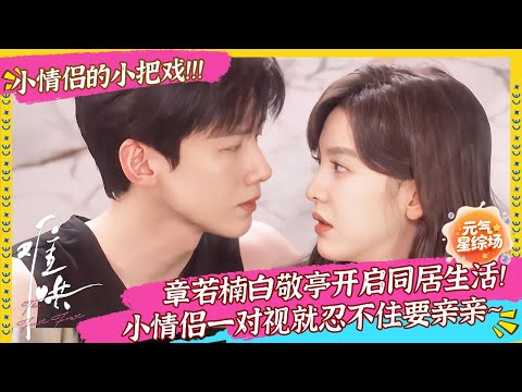 【独家精华】章若楠白敬亭开启同居生活！小情侣一对视就忍不住要亲亲~ #难哄 #白敬亭  #章若楠