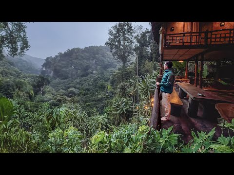 Living in a Treehouse CHIANG MAI ๐น๐ญ A Magical Thailand Escape